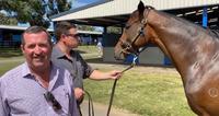 Premier Sale Recap from Tony Noonan