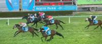 Noonan brings up a Dynamic Duo of back-to-back Gold Coast wins