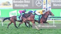 Noonan opens new season account as Toff Choice salutes at Cranbourne