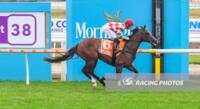 Raven Blazes turf at Mornington to kick of campaign with mighty win