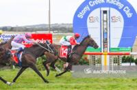 Undefeated at Stony Creek, Governor Landy adds another win