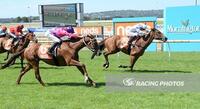 Marvelous Mornington rings true for Sanctuaire with strong win