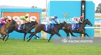 Florent returns a winner at Marvelous Mornington