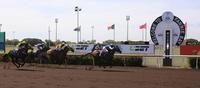 Tuscarora Wins His Maiden