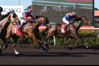 Cup Carnival Wrap Up