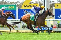 Lane helps filly Rock Bendigo