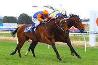 La Volt fights hard for Wodonga win