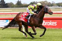 Another 3rd-up win for Sword Of Justice at Sale