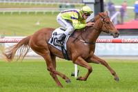 Arctic Angel too quick in Merson Cooper Stakes
