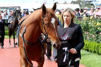 Five runners for Ellerton Zahra Racing at Sandown
