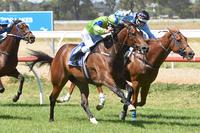 'He should be a trainer' - Essence Of Terror back to winning form at Valley