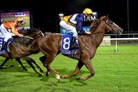Pakenham track perfect for Sir Sagamore's charge