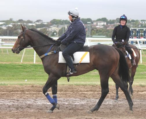 Trackwork - November 2016