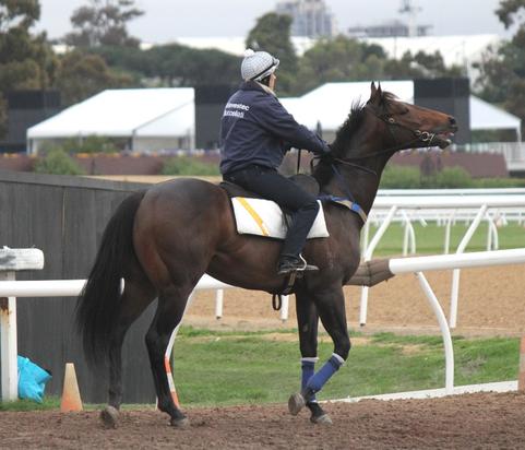 Trackwork - November 2016