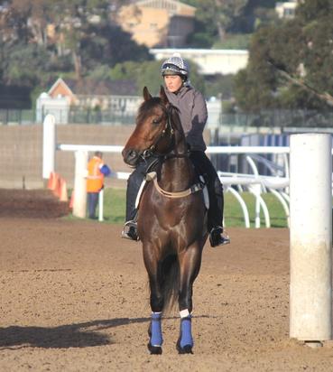 Trackwork - November 2016