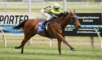 Meadow Sprite spring to Ballarat victory