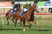 Perfect start for Crystal Dreamer at Werribee