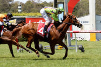 Ellerton Zahra Racing's hot run continues