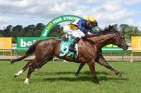 See Me Fly sprouts wings to score at Kyneton
