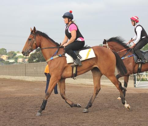 Jumpout - December 2016