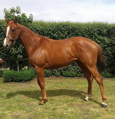 Pretraining - December 2016