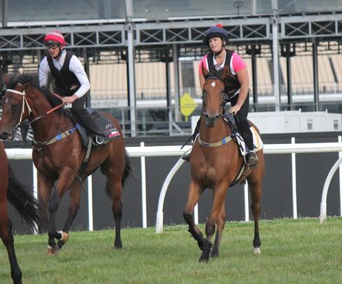 Jumpout - December 2016