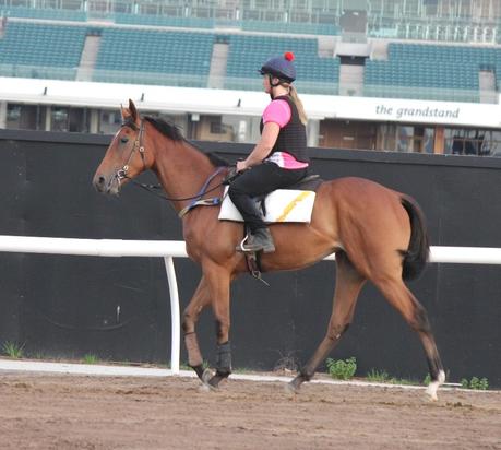 Jumpout - December 2016