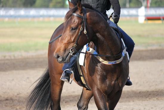 Trackwork - December 2016