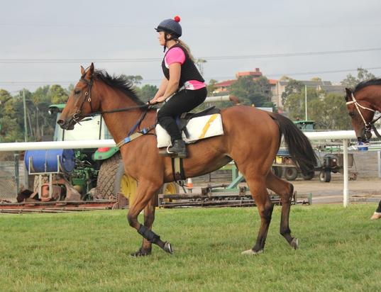 Jumpout - December 2016