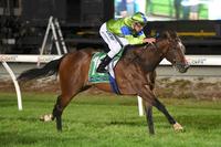 Huge finish to 2016 at Cranbourne
