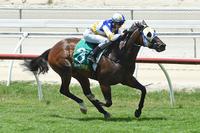 Wide trip no problem for Robert De Hero
