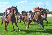 Powerful first-up win for Odeon at Bendigo
