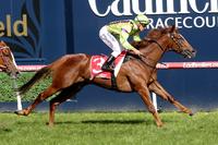 Sword out to Light up Adelaide in Oaks