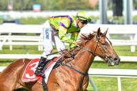 Oaks a possibility for Sword after Caulfield win