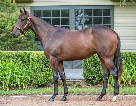 Lonhro X Nakaaya