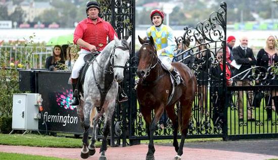 Flemington with Andrew Mallyon
