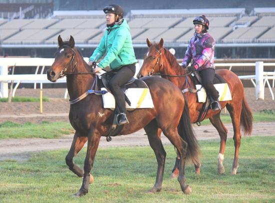 Breaking preparation