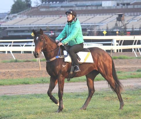 Breaking preparation