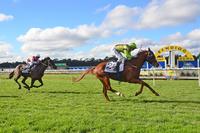 Special win for Crystal Kingdom at Bendigo