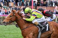 Light shines on Lane and Sword in Let's Elope Stakes