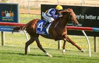 Winning speaks all languages at Ballarat