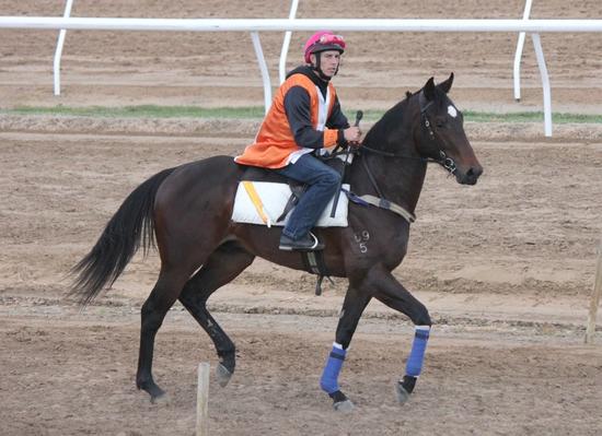Jumpout with Chris Symons
