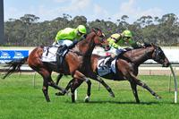 Quirky Justice gets it done at Bendigo