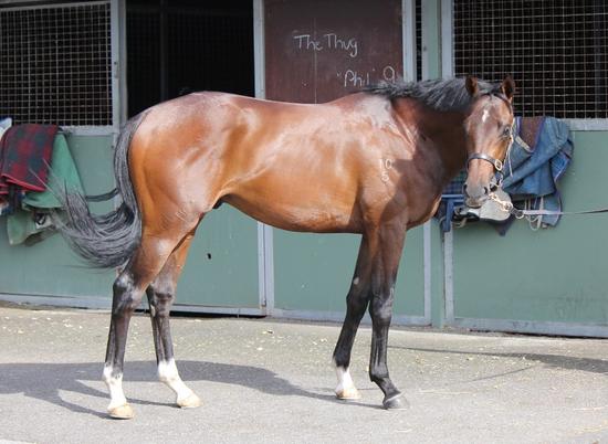 Arrival in Melbourne