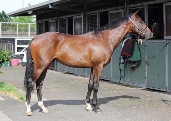 Arrival in Melbourne