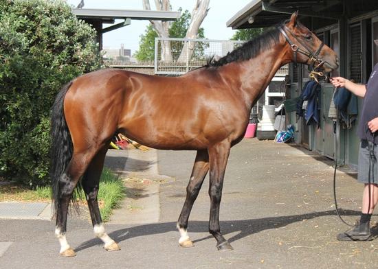 Arrival in Melbourne