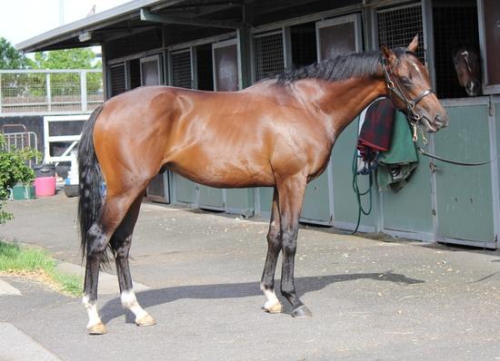 Arrival in Melbourne