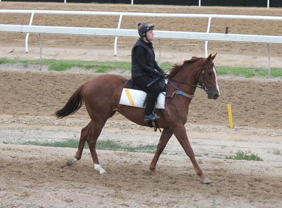 Trackwork