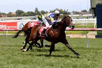 Ellerton Zahra Racing fires again with Caulfield treble