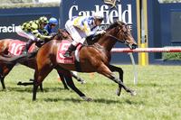 Ellerton Zahra Racing shooting for dual Group 1 glory at Caulfield